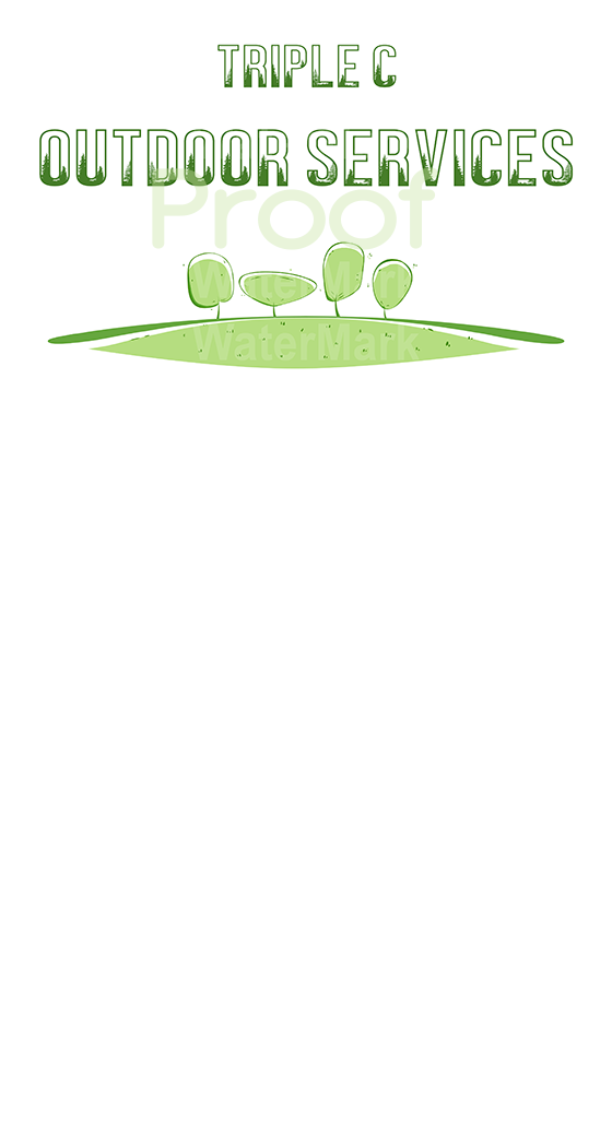 standard-size.png