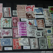 IMG-3441