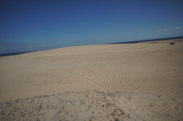 DSC01210