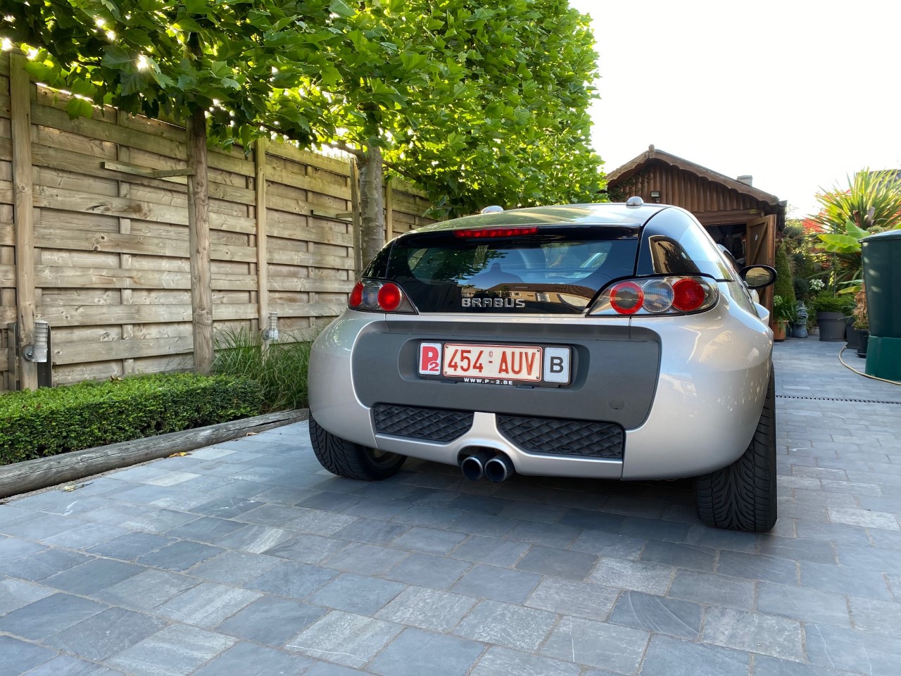 smartbrabus1.jpg