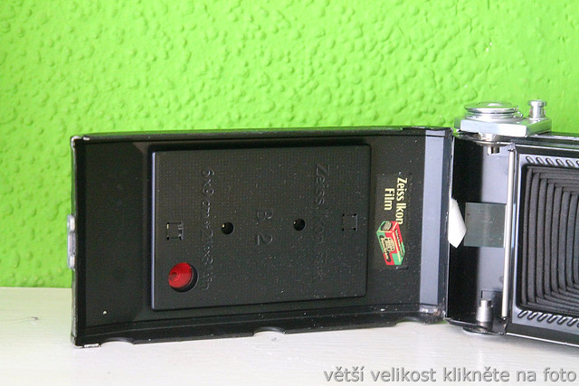 IMG-8087.jpg