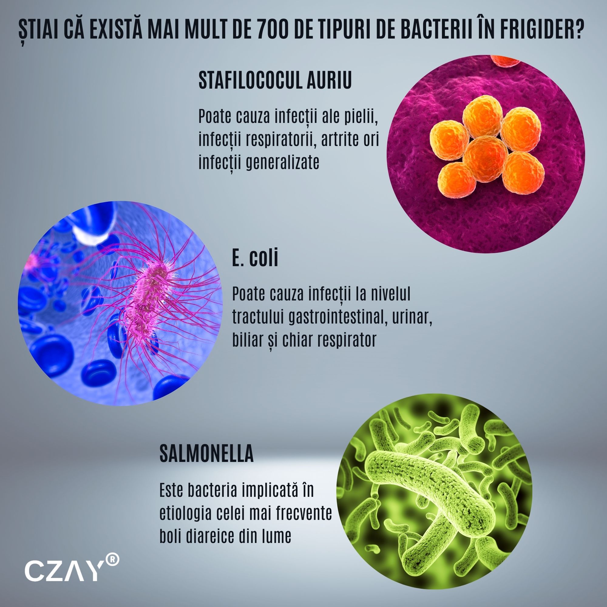 Elimina bacteriile din frigider