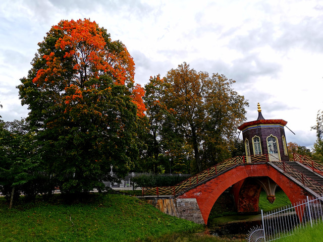 rhdr