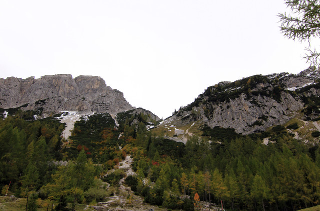 IMG-0236
