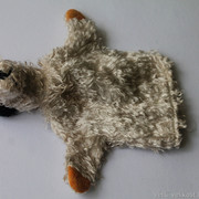 IMG-6730