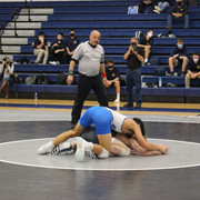IMG-0379
