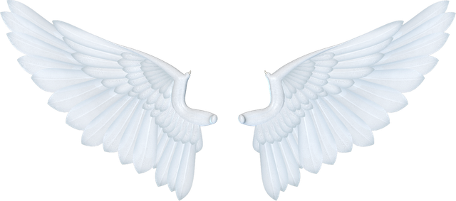 fae12angelwings1