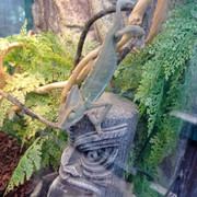 IMG-20220627-120558