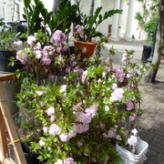P1070646