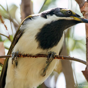 25791852730-30333379bf-b