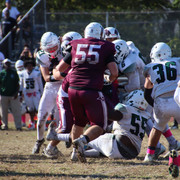 IMG-4600