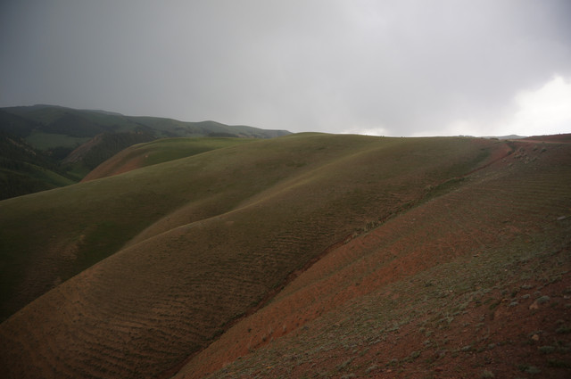 DSC01243