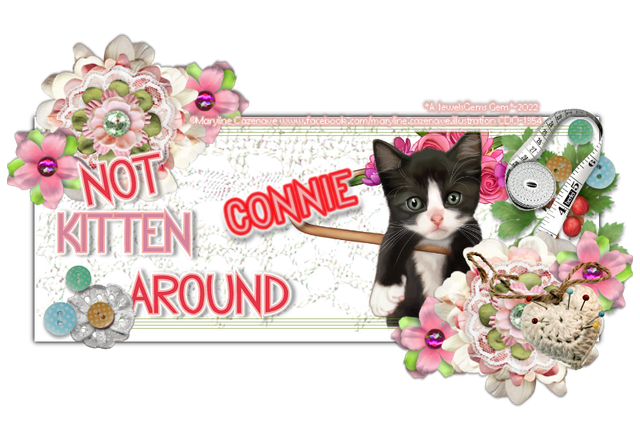 connie-LE-mcban