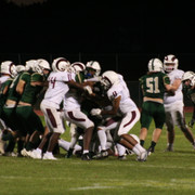 IMG-6528