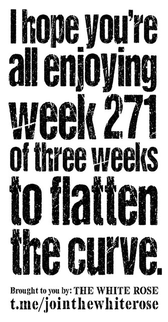 Flatten-The-Curve