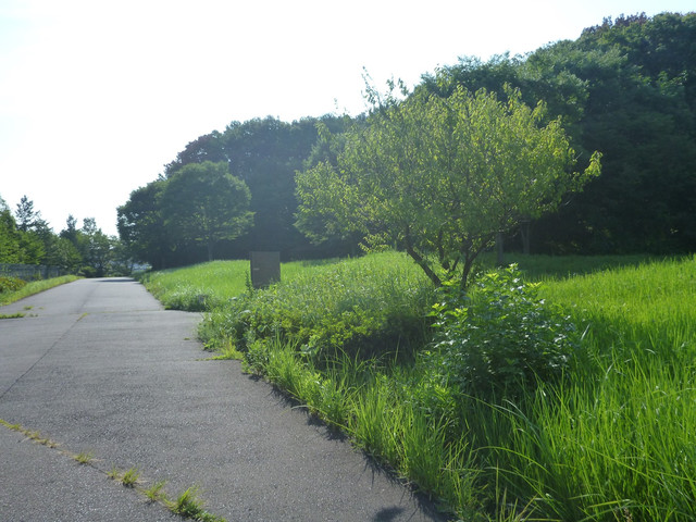 P1340769.jpg