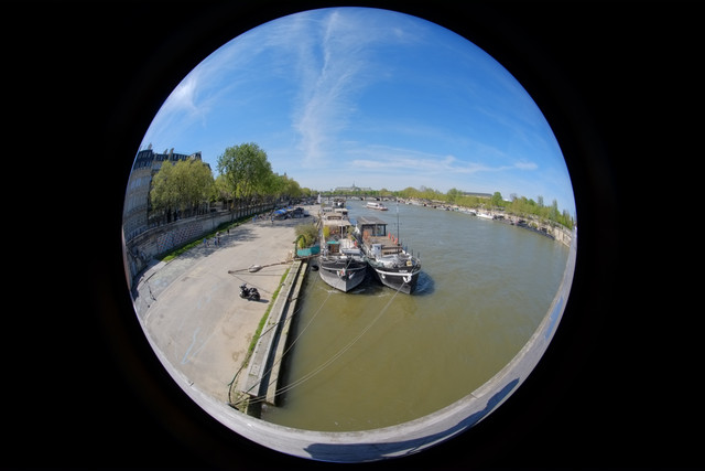 DSCF9254.jpg