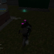 image 33