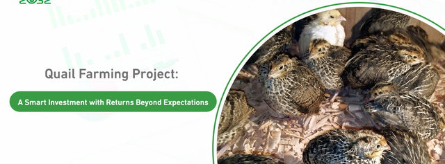 quail-farming