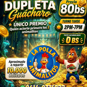 dupleta guacharo tarde