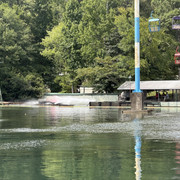 IMG 7594