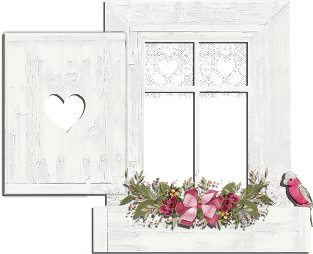windows-11