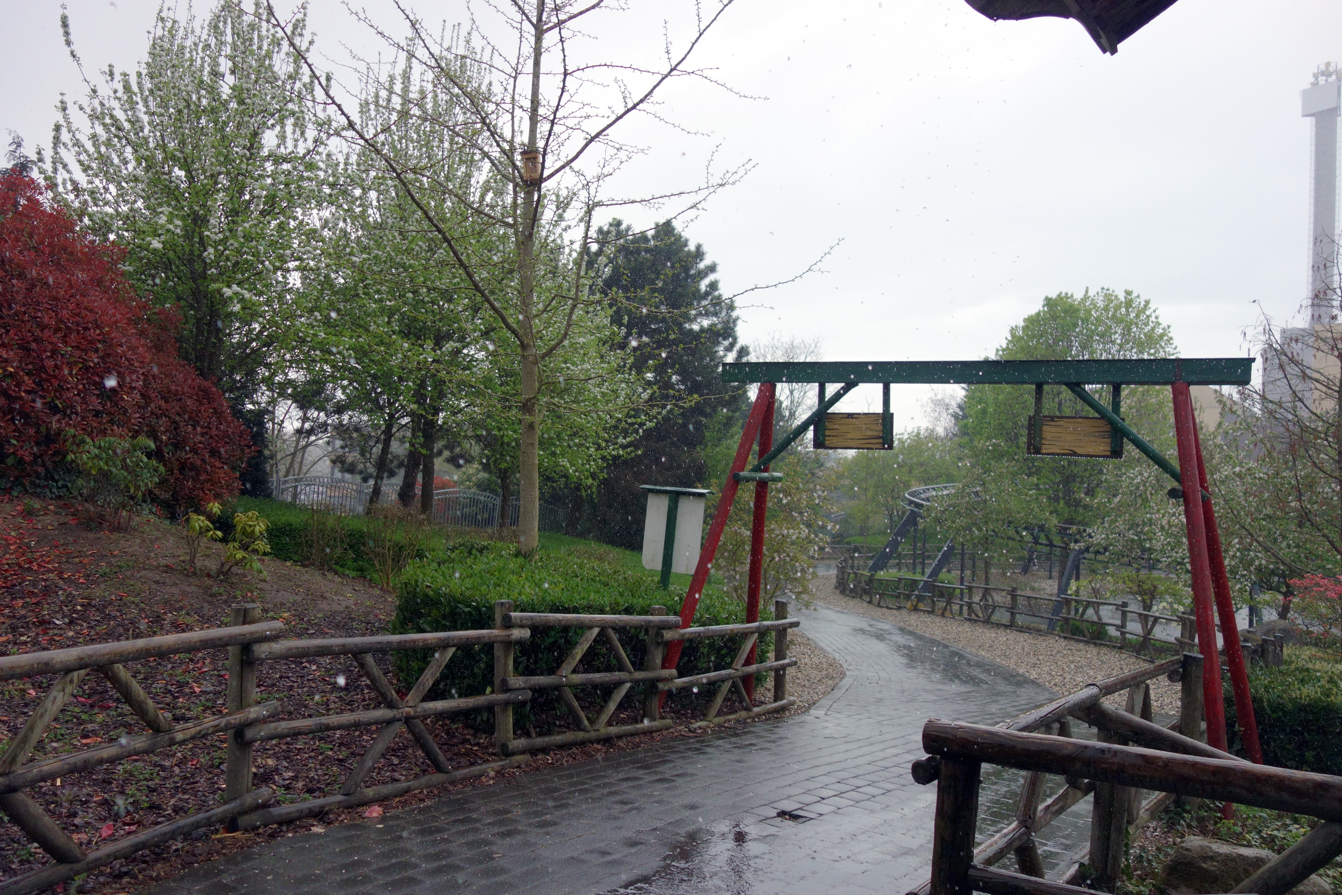 DSC00239
