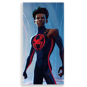 31001037-Homem-Aranha