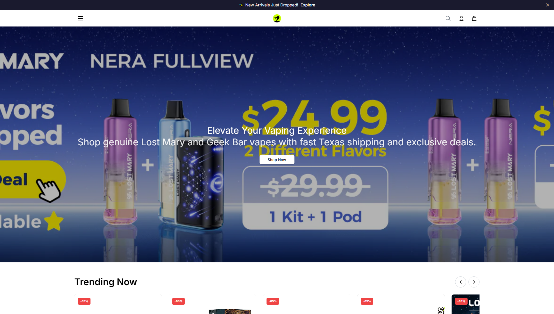 Stored capture of bestvapestore.shop