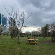 IMG-8762