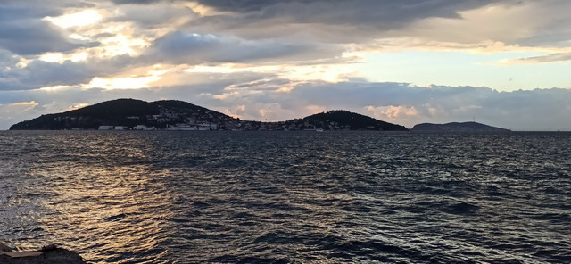 IMG 20261001 185306.jpg