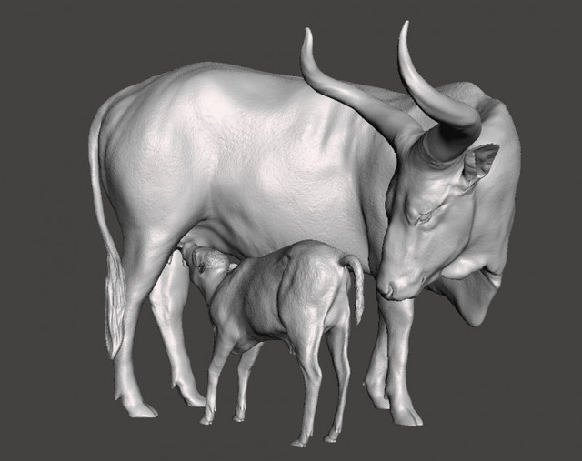 Ankolewatusi01