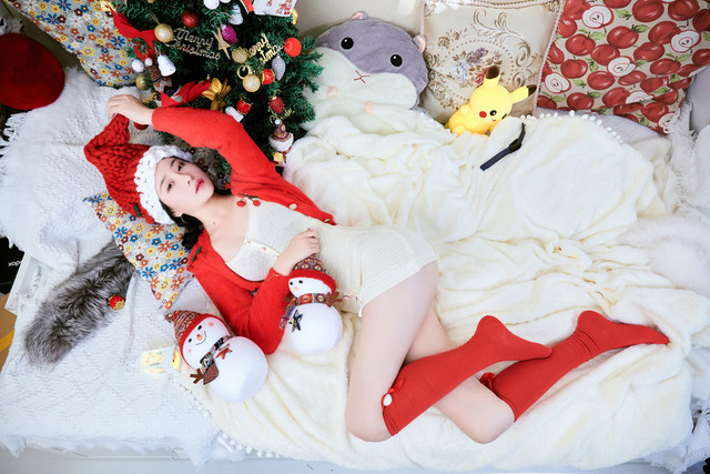 Christmas 28