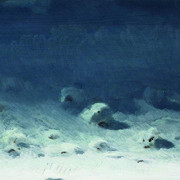 Лунная ночь Зима