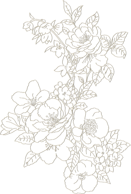 622b2c7acb81d76877dada3e5292b6c0.png