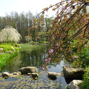 DSC09153