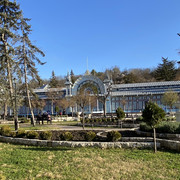 IMG-6179