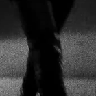 9.gif