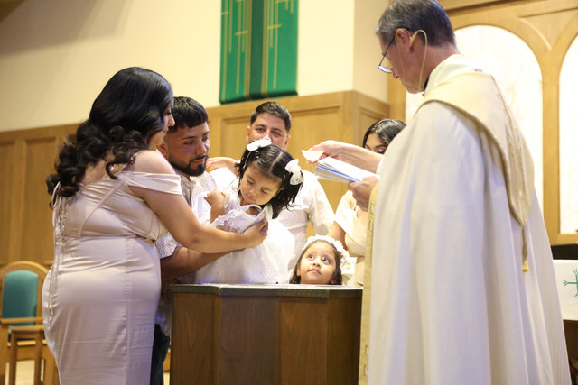 IMG-8678