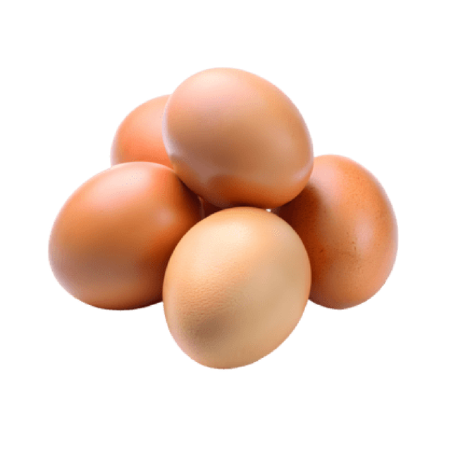 Egg brown.png