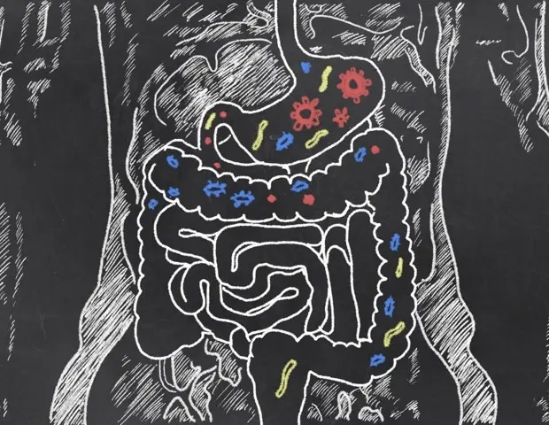 Robots and AI Revolutionize Gut Health Research