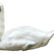 0-5be60-e8f5363-XXXL
