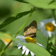 DSC-0782