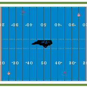 Carolina Panthers Field