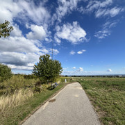 IMG-2543