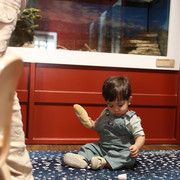 IMG 5714