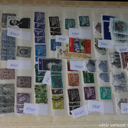 IMG-3718