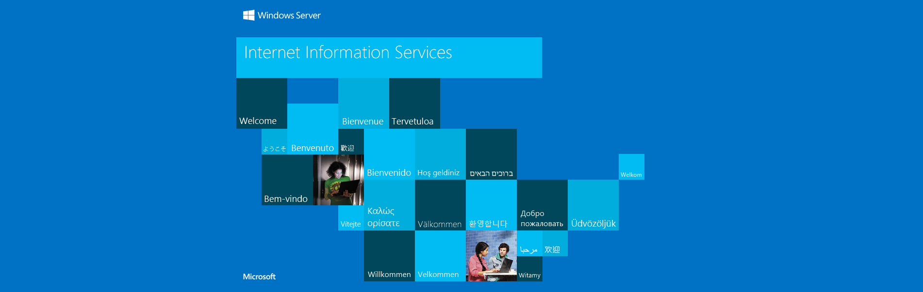 Stored capture of assessment-portal.metaprofiling.com