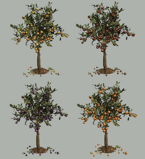 Garden Tree.jpg