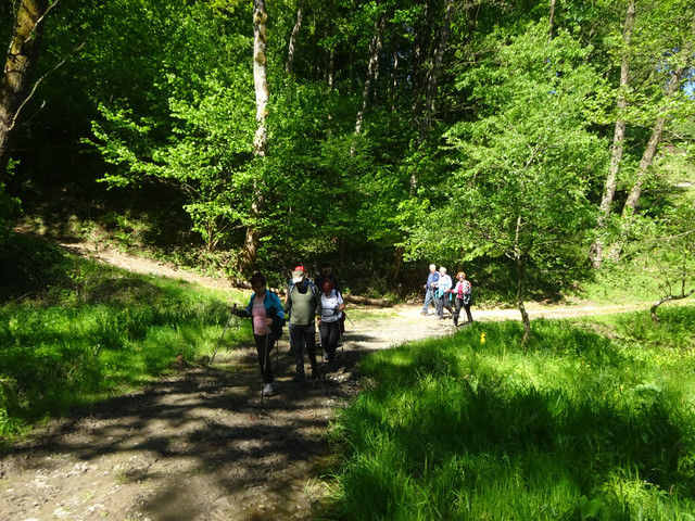 DSC04806.jpg